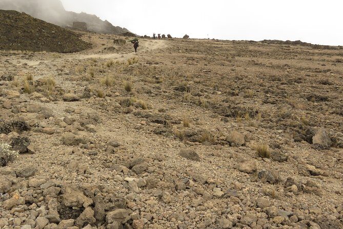 A Definitive Guide For the 7-day Kilimanjaro's Lemosho Route 2025 - FAQs