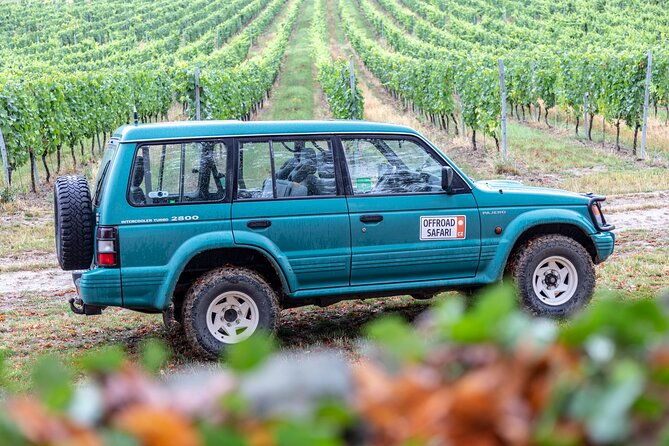 a-delightful-wine-tasting-in-the-scenic-countryside-with-lunch
