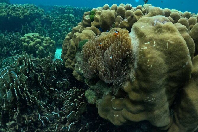 A full Day Haa & Rok islands from Koh Lanta( By Speed Boat) - Introduction to the Day’s Adventure