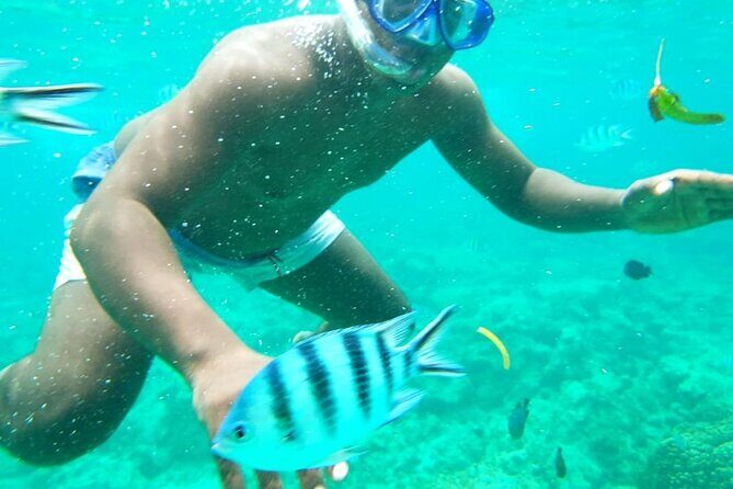 A Full Day Safari Blue Tour And Blue Lagoon - Who Will Enjoy This Experience?