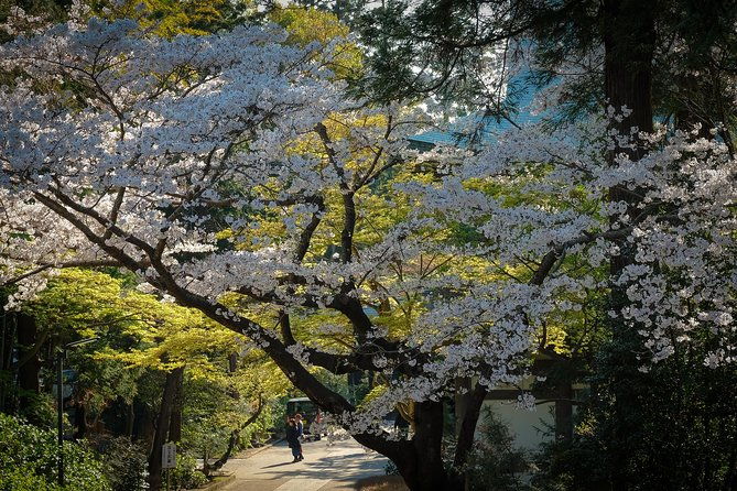 a-fun-day-out-discovering-kamakura