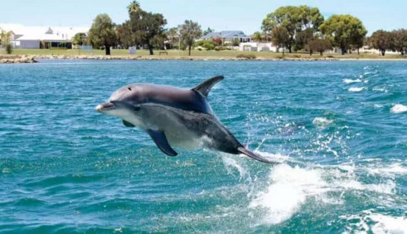 A Gentle Day in Hualien:From Open Waters to Sacred Valleys - Key Points