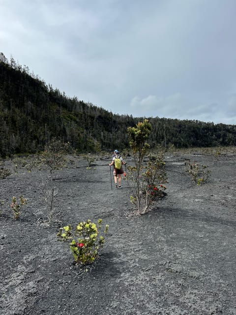 a-guided-hike-adventure-kilauea-iki-crater-and-a-lava-tube