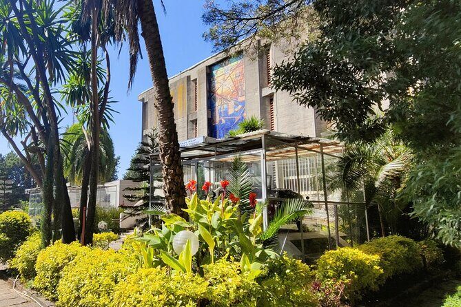 A Guided Tour of Addis Ababa That Includes a City Viewpoint - Who Will Love This Tour?