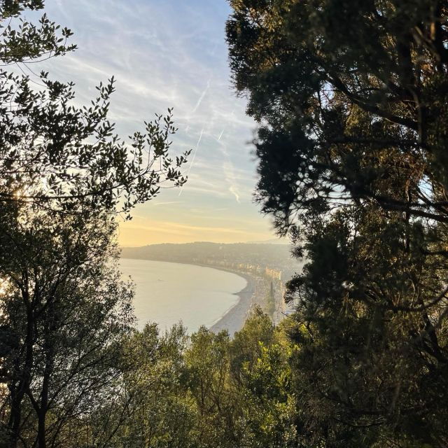 a-guided-walking-tour-through-the-charming-streets-of-nice