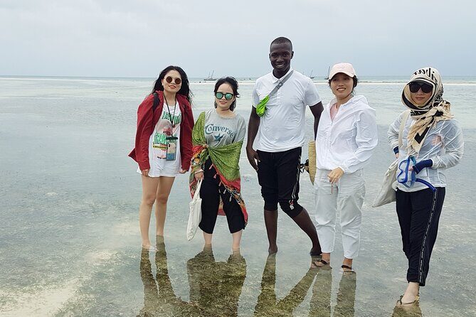 A Half Day Private Dolphins And Snorkeling Tour To Mnemba Island - Why This Tour Offers Value