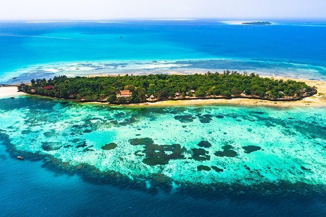 A Half Day Private Prison Island Tour - Exploring the Half Day Private Prison Island Tour in Zanzibar