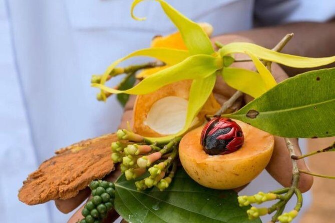 A Half Day Private Tour To Spice Farm - Key Points