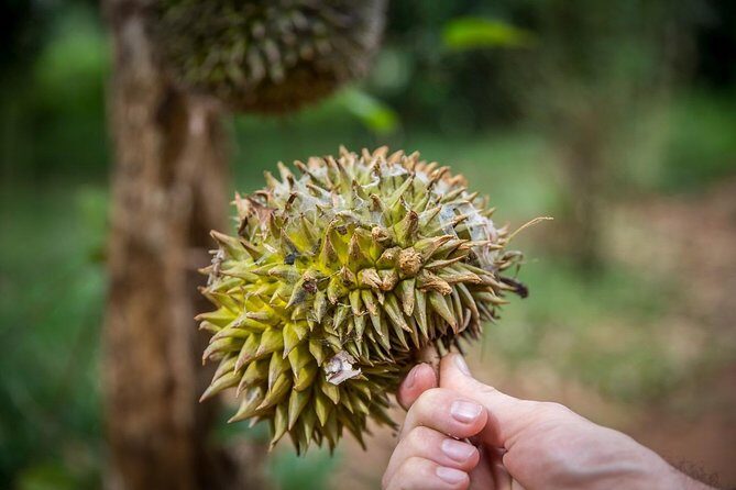 A Half Day Private Tour To Spice Farm - Additional Considerations