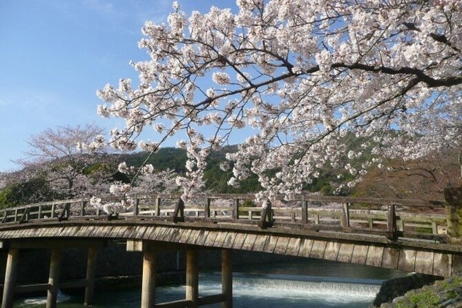 a-hidden-gem-away-from-the-crowds-e-bike-tour-in-arashiyama