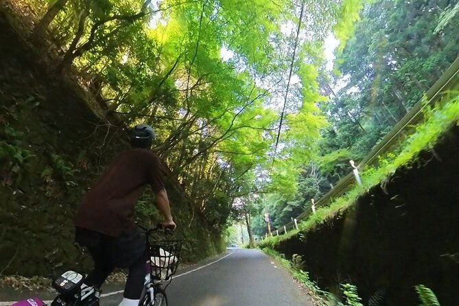 a-hidden-gem-away-from-the-crowds-e-bike-tour-in-arashiyama