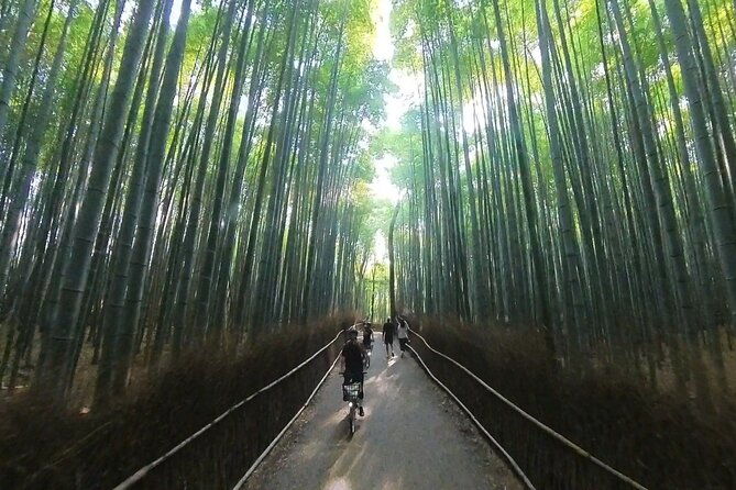a-hidden-gem-away-from-the-crowds-e-bike-tour-in-arashiyama