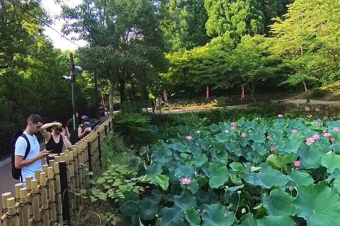 a-hidden-gem-away-from-the-crowds-e-bike-tour-in-arashiyama