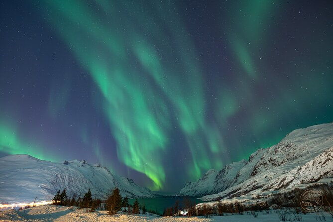 a-journey-in-search-of-the-northern-lights-private