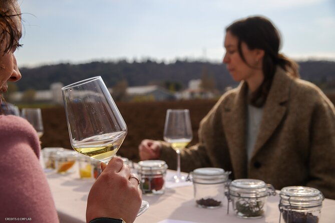 a-journey-into-wines-tastes-and-aromas