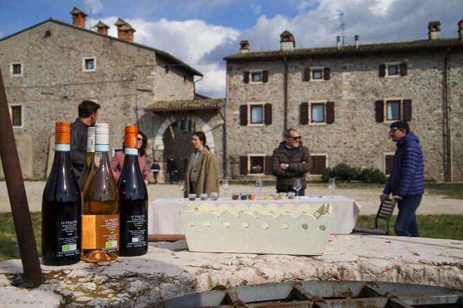 a-journey-into-wines-tastes-and-aromas