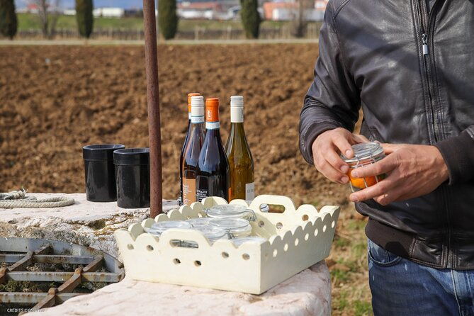 a-journey-into-wines-tastes-and-aromas