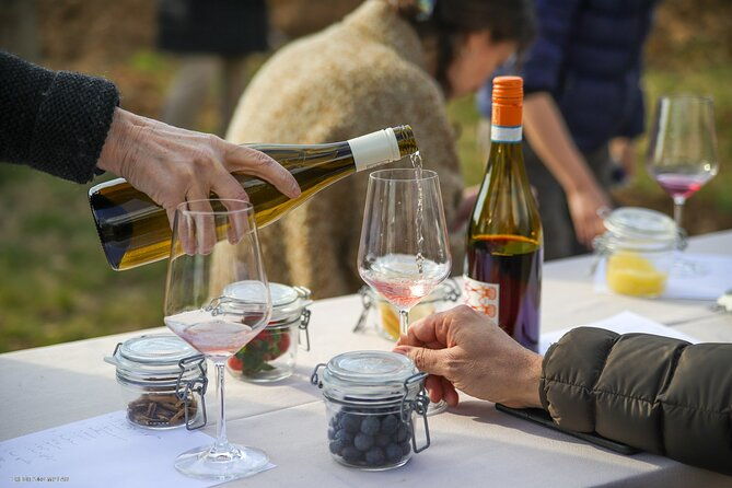 a-journey-into-wines-tastes-and-aromas