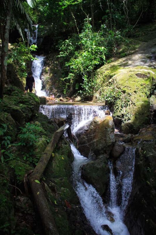 A Jungle-to-Sea Kayaking & Trekking Adventure in Phuket - A Closer Look at the Tour Experience