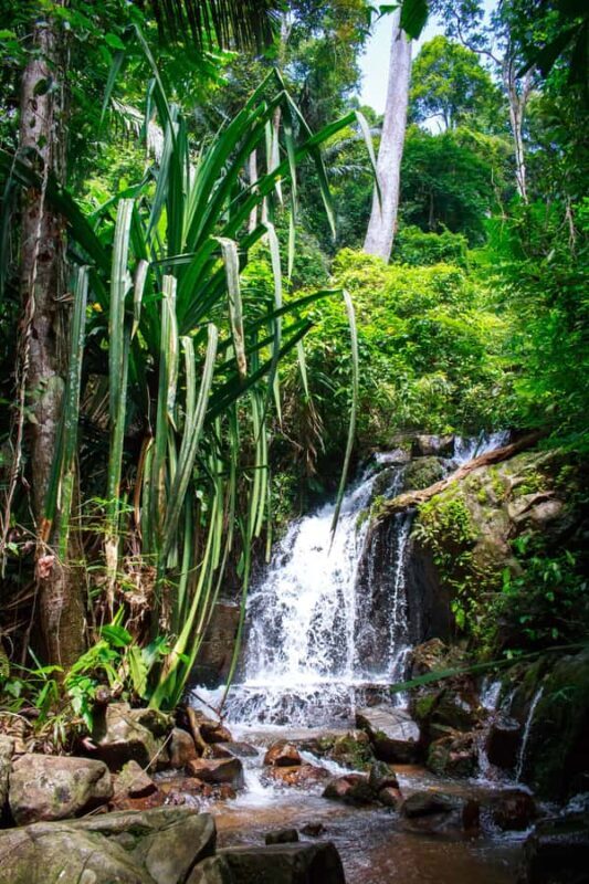 A Jungle-to-Sea Kayaking & Trekking Adventure in Phuket - Who Is This Tour Best For?