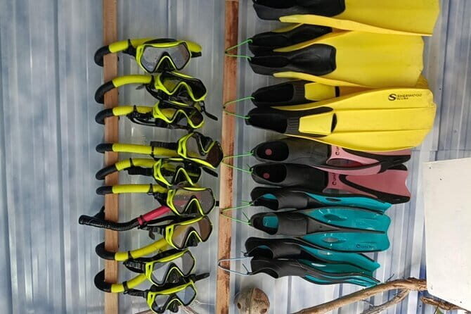 A Koh Lipe Snorkeling Tour - Final Words