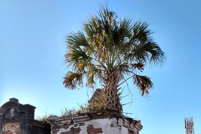 a-locals-garden-district-tour