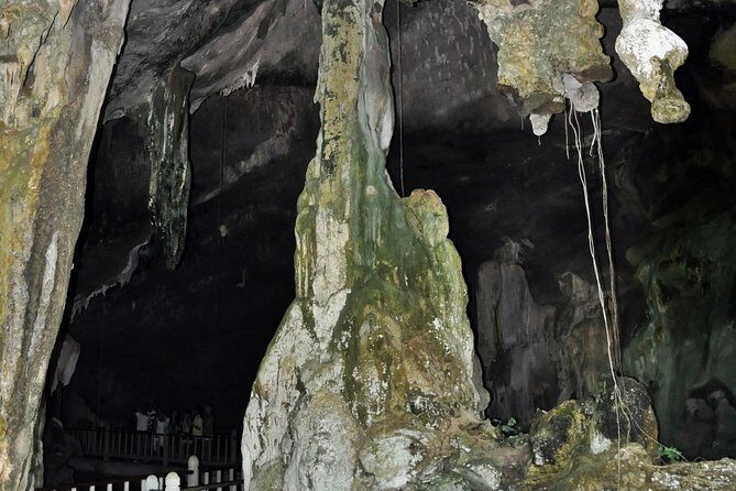 A Mangrove River Cruise on Langkawi - Value for Money and Overall Impression