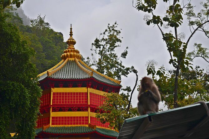 A Natural Discovery of Scenic Krabi - Summary