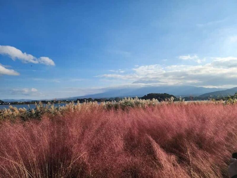 A Nature Escape to Fuji and Lake Kawaguchiko Guided Tour - Authentic Insights from Travelers