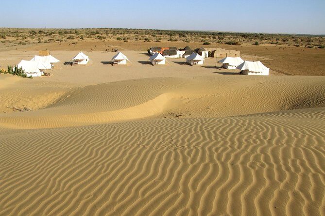 A Night in Thar Desert  Unforgettable Luxury Camel Safari - Key Points