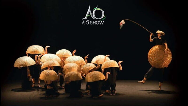 a-o-show-and-dinner-cruise-on-saigon-river-private-tour