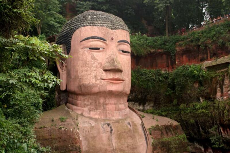 A Premium Day Trip: Leshan Giant Buddha and Panda Base - Who’s This Tour Best For?