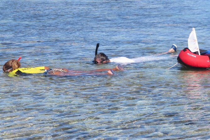 a-private-and-guided-snorkeling-diving-at-pointe-des-chateaux