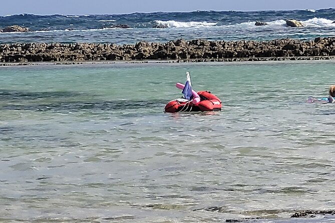 a-private-and-guided-snorkeling-diving-at-pointe-des-chateaux