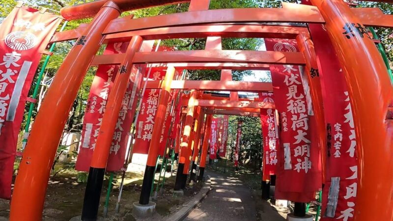 A private day in East Kyoto standard - A Closer Look at the Itinerary & Highlights