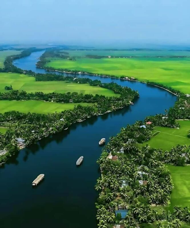 A Private day Tour Through Alleppey, Marari, and Fort Kochi - Key Points