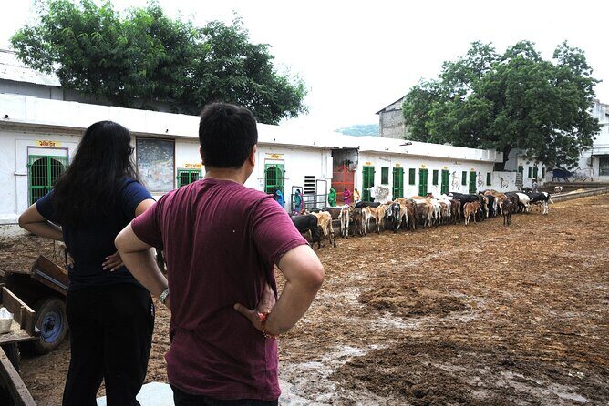 A Private Day Tour To Nathdwara, Eklingi and Haldighati From Udaipur - Exploring the Itinerary in Detail