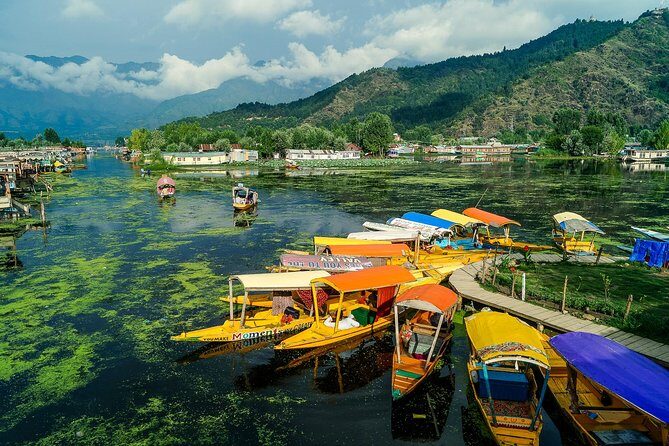 A Private Guided Walking Tour Of Old Srinagar With Lunch - Key Points