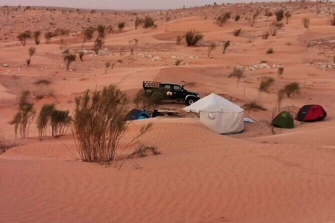 A Private Night at Desert Douz Tozeur - Who Should Consider This Tour?