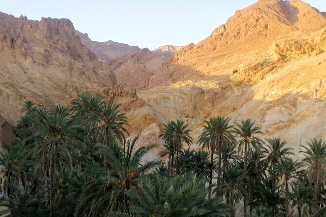 A Private Night at Desert Douz Tozeur - Final Thoughts