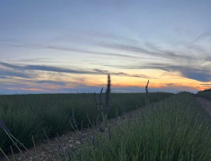 a-provencal-picnic-at-sunset-in-the-lavender-fields