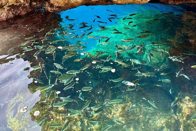 a-relaxing-private-corfu-sea-tour-for-cruise-passengers