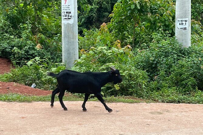 A Rem Ethnic Village Cultural Day Tour - Who Is This Tour Best For?