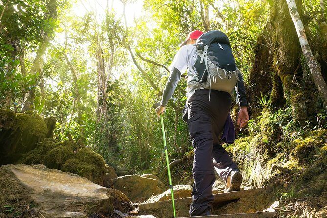 A Rendezvous with Nature - Templer Park and Kanching Waterfall Tour - Visiting Kanching Waterfalls: Nature’s Refreshing Retreat