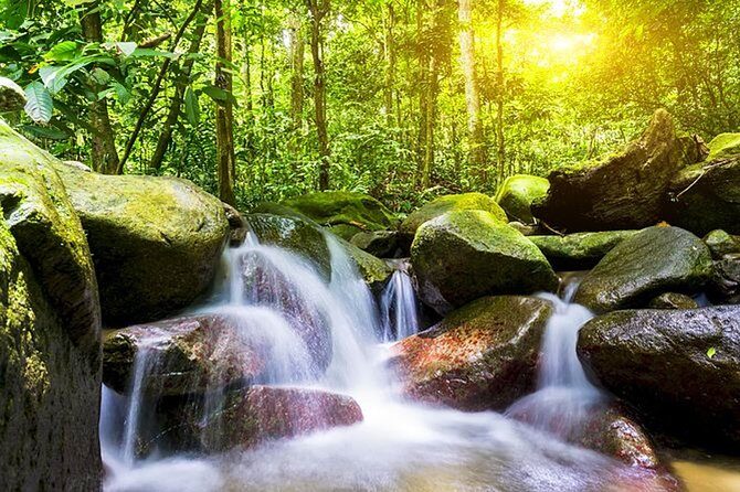 A Rendezvous with Nature - Templer Park and Kanching Waterfall Tour - Practical Tips for Your Trip