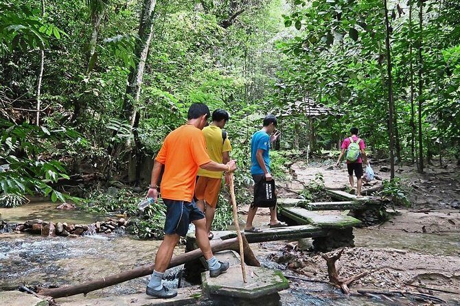 A Rendezvous with Nature - Templer Park and Kanching Waterfall Tour - FAQ