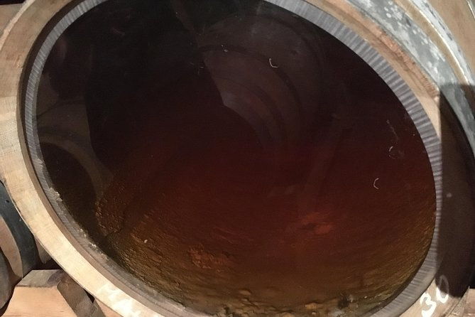 a-sample-of-wine-a-sample-of-istria-a-short-but-fulfilled-program