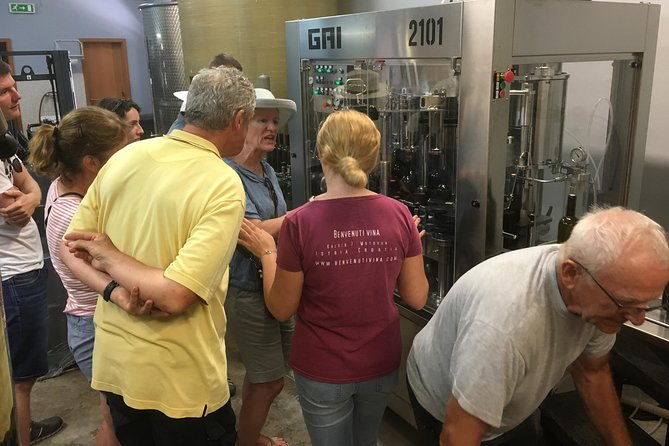 a-sample-of-wine-a-sample-of-istria-a-short-but-fulfilled-program