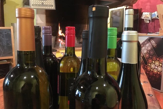 a-sample-of-wine-a-sample-of-istria-a-short-but-fulfilled-program