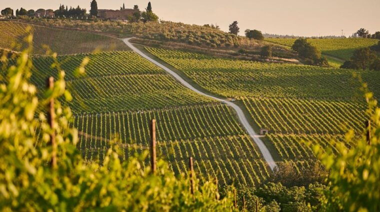 a-sip-by-sip-tour-of-3-boutique-family-rioja-wineries